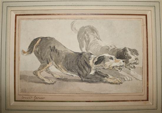 Old Master, watercolour, two dogs, signed Conrad Desmond?, 16 x 23cm